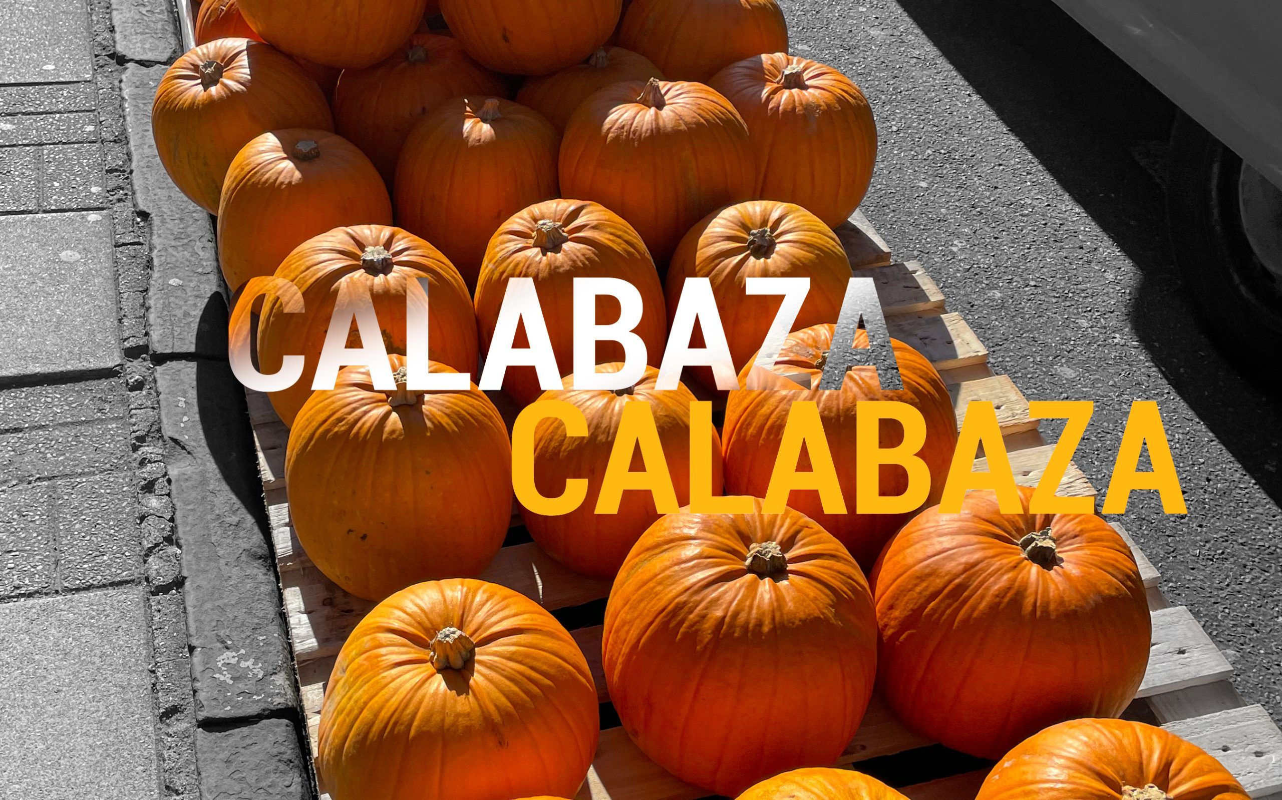 Calabazas en otoño, Bristol